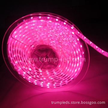 2011 Best Price flexible Strip 5050 60 LED Waterproof